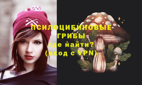 a pvp Абаза