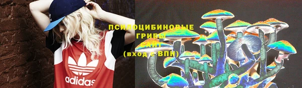 a pvp Абаза