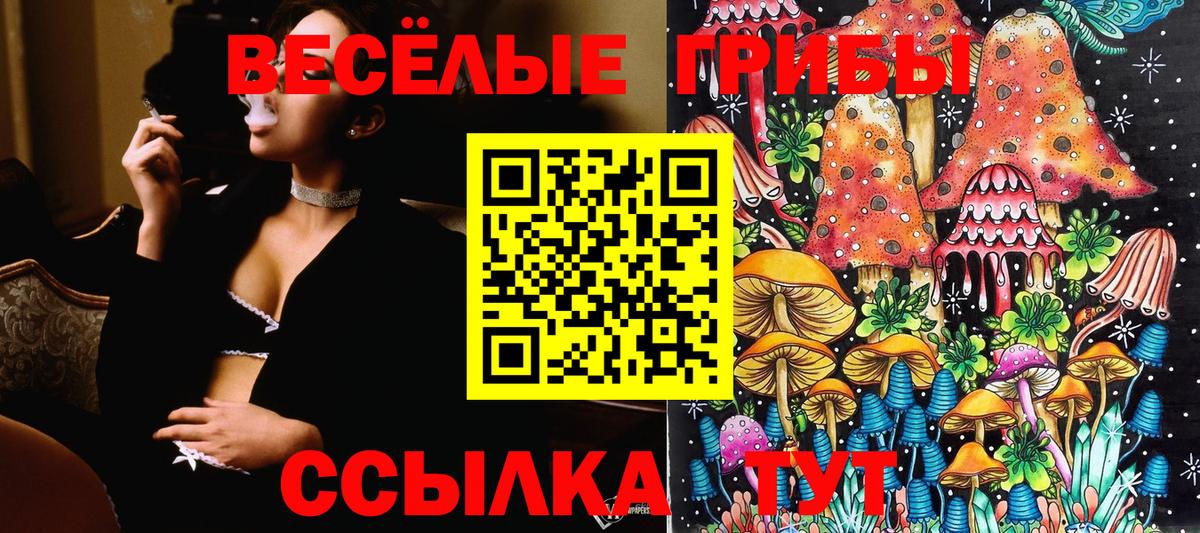 Псилоцибиновые грибы прущие грибы  Галлюциногенные грибы Magic Shrooms  Вход с VPN  Воронеж 